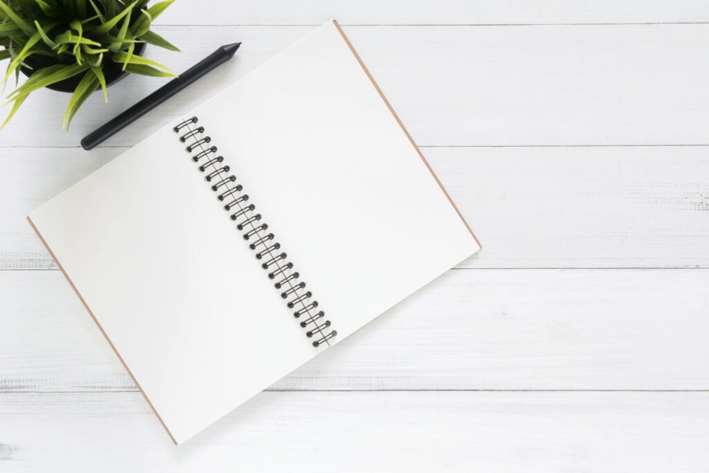 Redactor profesional de contenidos